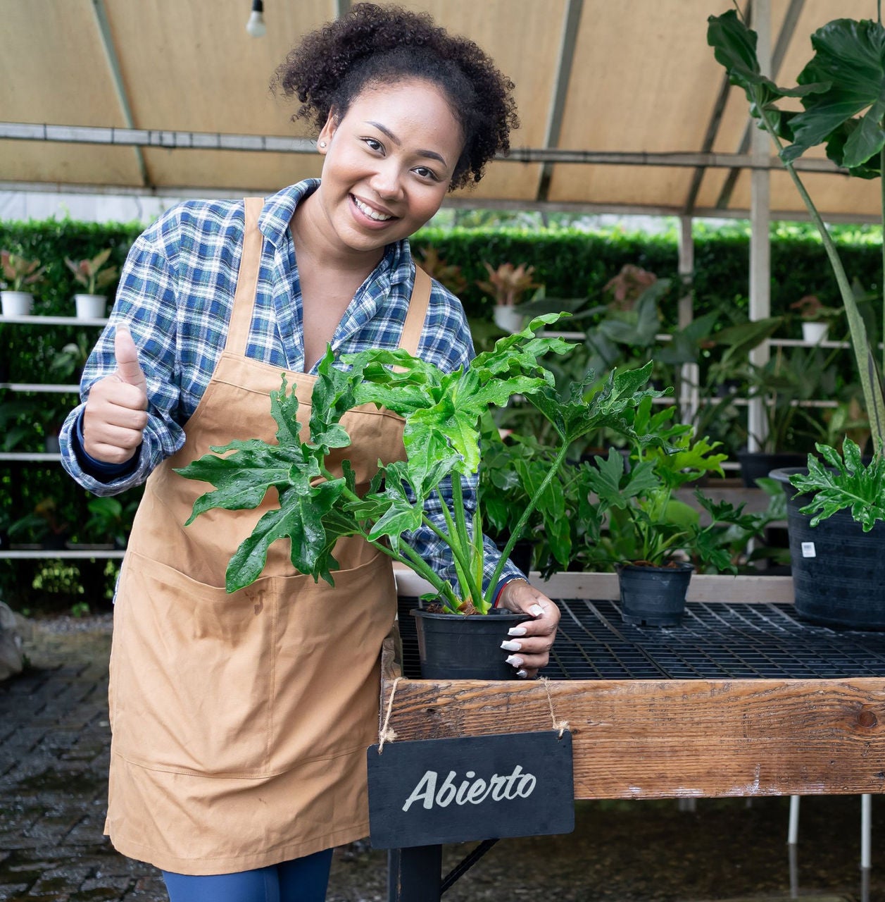 Mujer sonriendo con planta en la mano.