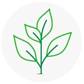 Vector de planta verde