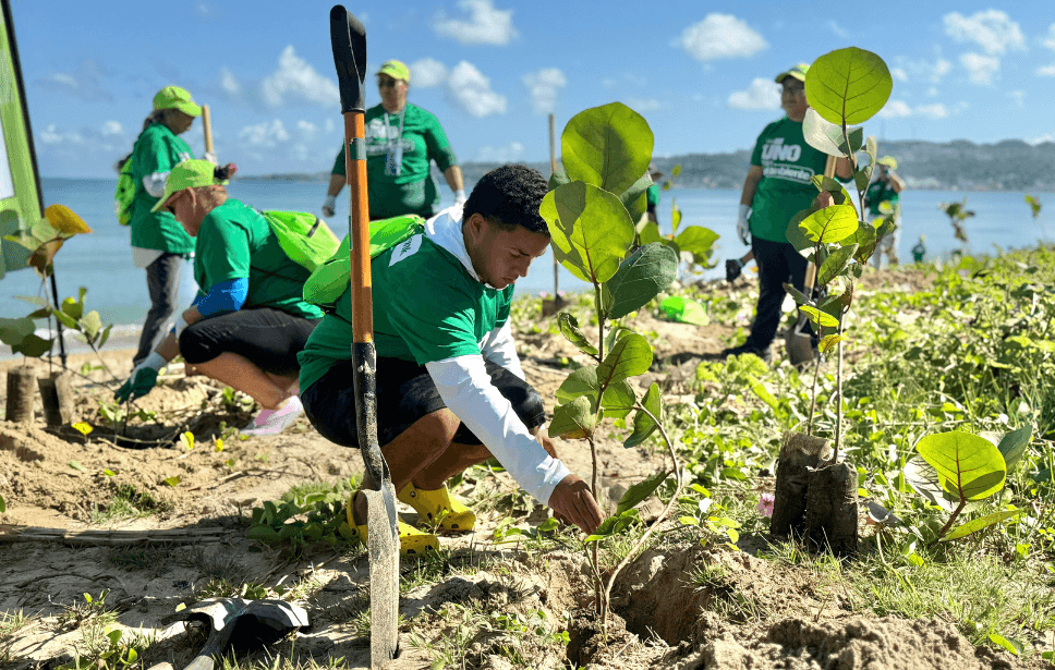 Rescate Costero Voluntarios