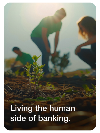 volunteers gardering