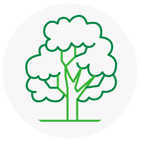 Vector de arbol