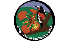 Bosque Urbano San Patricio logo