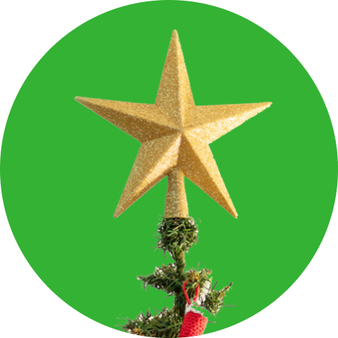 Christmas tree star.