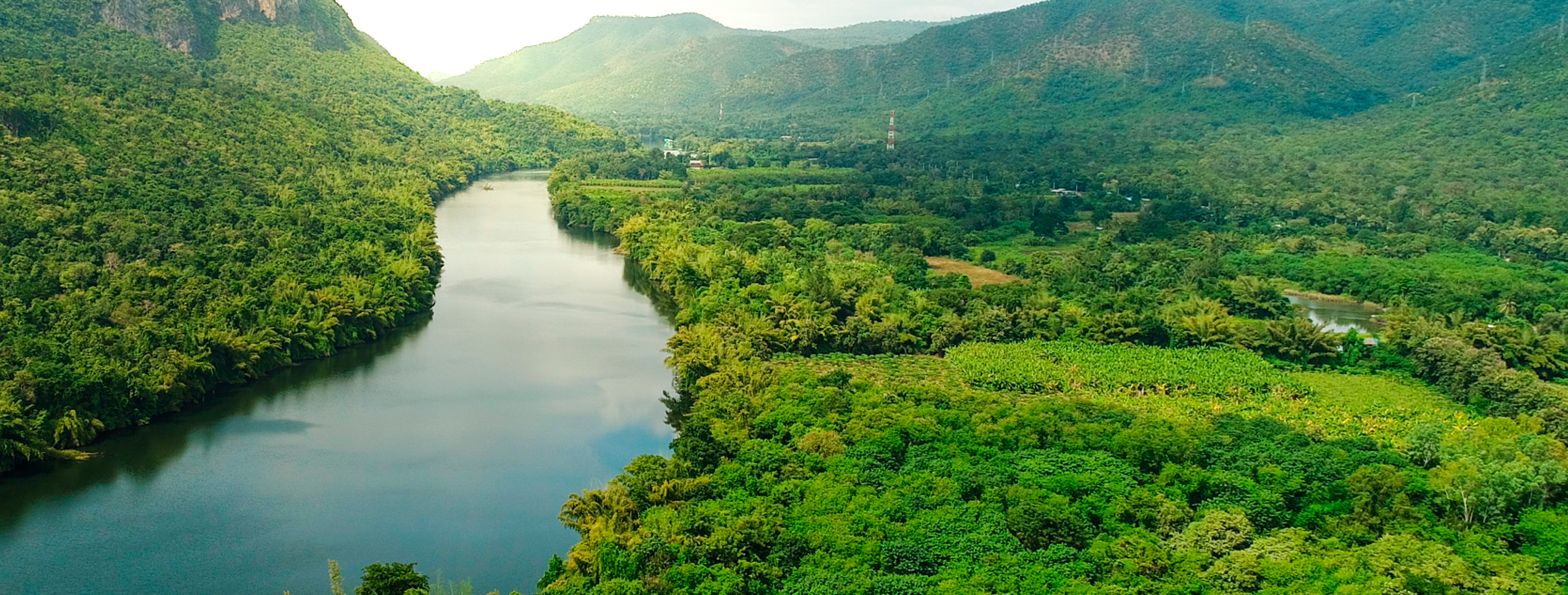 Paisaje verde con un río