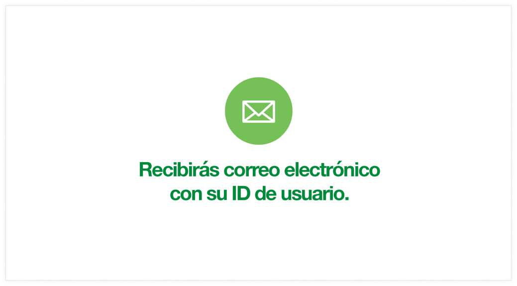 captura de pantalla correo id usuario