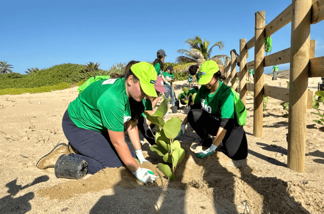 FirstBank projects a reduction of up to 422 metric tons of CO₂ annually as a result of reforestation conducted during its two-year Rescate Costero efforts
