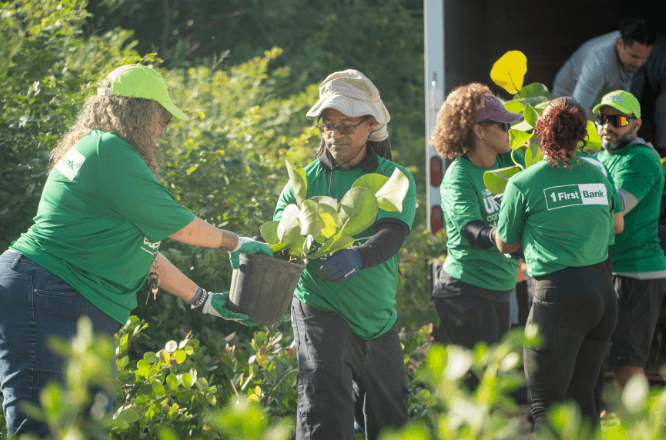 Voluntarios de Rescate Costero movilizando árboles para siembra.